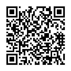 任他肌体坚韧堪比钢铁也在风刃之中给刮了个遍体鳞伤二维码生成