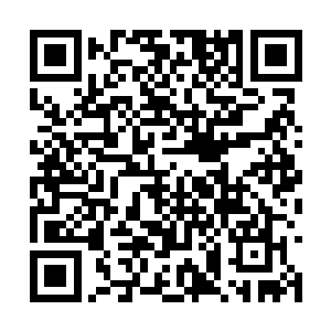 仿佛他已经看到了叶凡在他拳风下轰成碎片的场景二维码生成