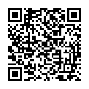 仿佛是游戏公司在用很敷衍的语气地对广大玩家们说二维码生成