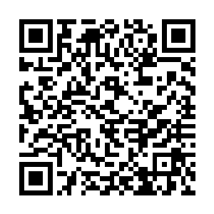 仿佛清虚门和流云宗到来的目的对她而言是无所谓的二维码生成
