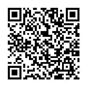 众人看到常二奎撅着个屁股趴在桑塔纳的引擎盖上开罚单二维码生成