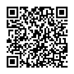 伯约已经被苗毅要率领黑虎旗血洗天街的事给吓到了二维码生成