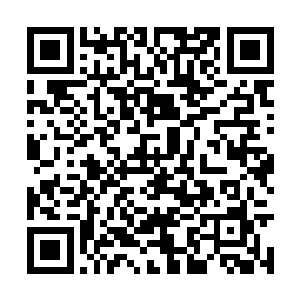 估算了一下带着会员戒指的客人最起码有两千多人二维码生成