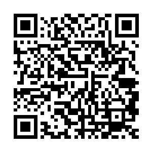 估计是打算告诉自家的主人不用指望云峥能活到成亲的那一天了二维码生成