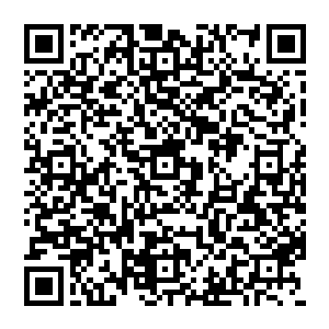 估计现在要竞拍这条项链多半也是为了哄这个年轻老婆高兴吧……这女人听到身边的老头放弃了二维码生成