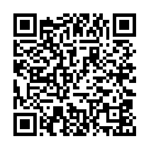 似乎一点也没有听到楚老爷子和秦方说什么似的二维码生成