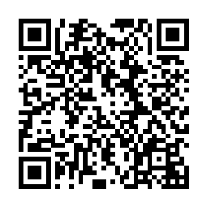 似乎他已经可以肯定秦方必然逃不出铜甲尸的追杀似的二维码生成