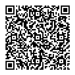 但一直小心翼翼地搀扶着慕容玥并一直关注着她的水菲菲依旧敏感地感觉到了慕容玥情绪的变化二维码生成