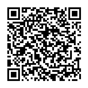 但与此同时他也因为这些树木和藤蔓的牵扯和制约而导致行动速度明显降低二维码生成