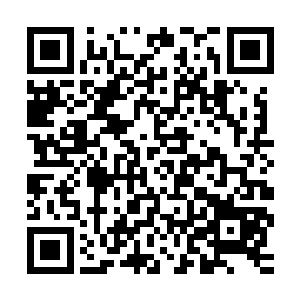 但之前被混沌钟所彻底摧毁的部分身躯却是已经无法再补回来了二维码生成