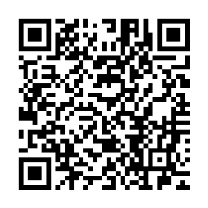 但也绝对不会愿意为了一个后辈子弟而和一个神级强者结怨的二维码生成