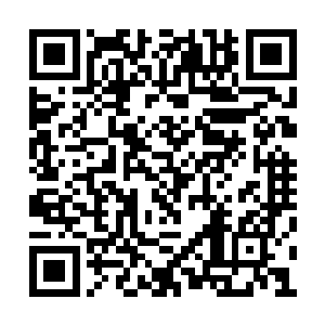 但从他刚刚展现出来的实力来看也依旧不容小觑二维码生成