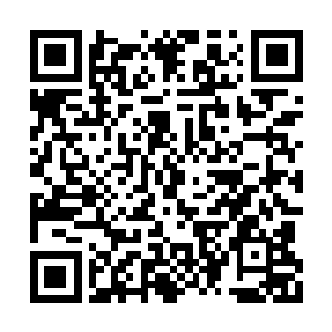 但他仍旧在这战场上第一次的发挥出了毕生所学二维码生成