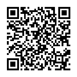 但他们很可能是被鞑靼裹挟了一起攻击我大明的边民二维码生成