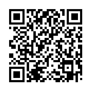 但他坚信它们使用的都是同一种基础规则二维码生成