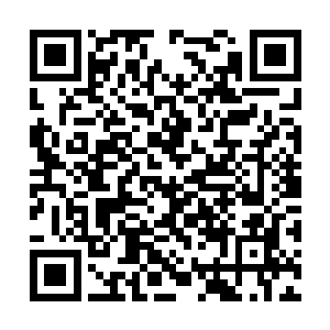 但其实他也是出身矮魔族一个五品宗门的天才弟子二维码生成