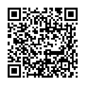 但却可以根据使用者的意识来幻化成武器或者甲胄二维码生成