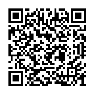 但只要他愿意付出一定的代价却还是能够挣脱的二维码生成
