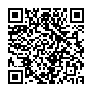 但对于这岩石巨人而言却仅仅只是一只手臂的长度都不到而已二维码生成