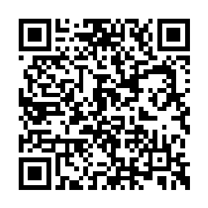 但尹某这也实在是为形势所迫才不得不请求你啊二维码生成