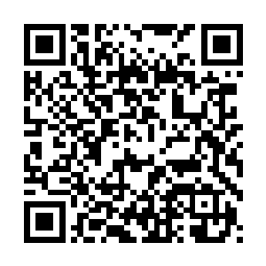 但局部的某些炮塔和装甲又残留着天环界独有的轻灵优雅之风二维码生成