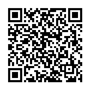 但当他们真的看到秦宇又一次完好无损的出现的时候二维码生成
