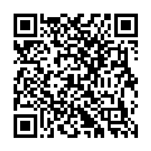 但微臣掌握的目击证人证词的确很像是影卫的人下的手二维码生成
