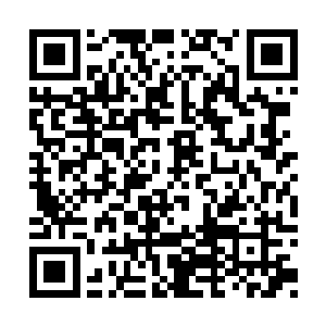 但必须是法宝列表上指定的五种最常见玉简之一二维码生成