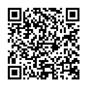 但无可否认的是如果没有它们石猴早就变成老虎的一顿晚餐了二维码生成