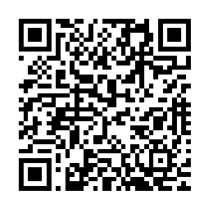 但无论是开门还是请人进去这个两个举动他们都显得那么自然二维码生成