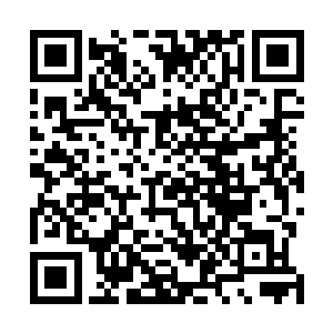 但是从来没有人能够用一堆垃圾拼出一只完整的机械鸵鸟二维码生成