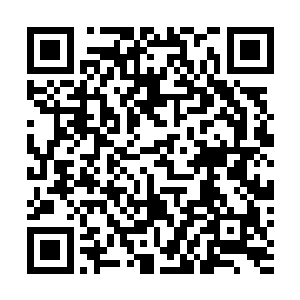 但是他们都没有见过被绿色雾气攻击之后到底是什么样子二维码生成