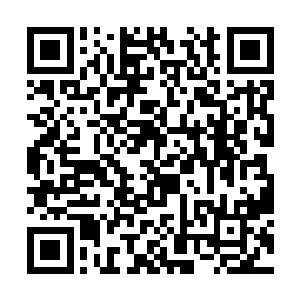 但是依旧掩盖不了那一份独属于温长殷的博爱与柔情二维码生成
