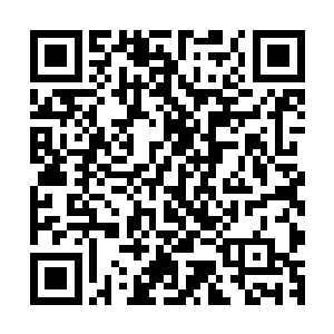 但是却丝毫也看不出来今天以前他还躺在床上人事不知的模样二维码生成