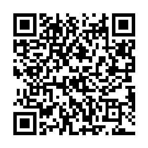 但是吸引秦宇注意力的并不是男孩的脸还有照片的背景二维码生成