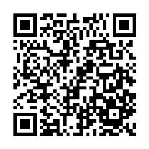 但是和熊啸结下死仇的苗毅很有可能会趁机报仇二维码生成