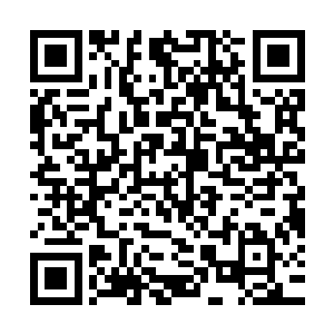 但是它强大的献祭作用可以让它可以将魔物当成自己的营养消化二维码生成