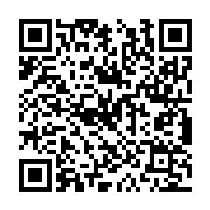 但是实际上同样生存着人类以及由人类组成的国家二维码生成