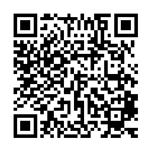 但是尚权智肯定不是问自己那些发展经营得比较好的企业的看法二维码生成