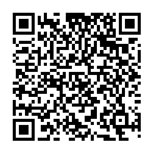 但是巨锤附带着的粉碎打击的效果还是一下子让他手上拿着的一面盾牌变得粉碎二维码生成