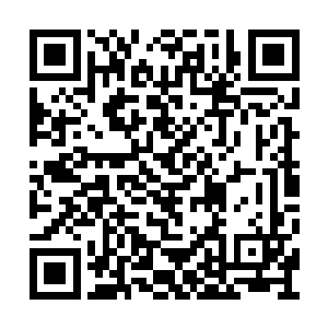 但是彼此的注意力都是放置在了场地中央的位置二维码生成