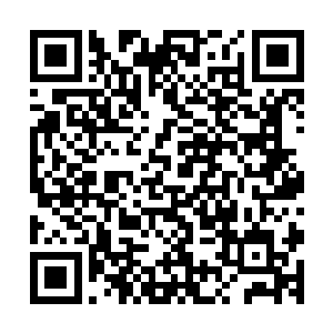 但是很遗憾的是他们在破解封印的时候已经消耗了太多的元力二维码生成