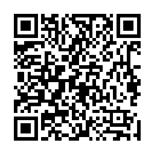 但是接下来……他们并没有看到车前面的人被撞得倒飞出去二维码生成