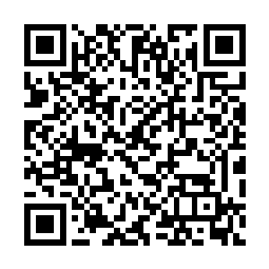 但是最终结果很可能要9位数了……我想问问你……二维码生成