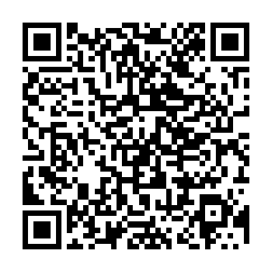 但是清除患者脑部血肿的微创手术可能在某种程度上刺激它们开始集体游动二维码生成