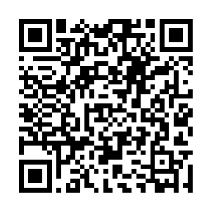 但是现在它们却可以钻透这被无尽鬼魅腐蚀的大地二维码生成