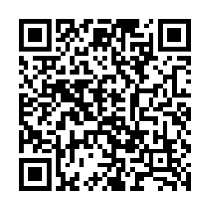 但是等待他们的却是一个令她们惊骇欲绝的消息……二维码生成