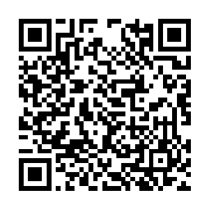 但是经过夏天却在这个死亡绝森里面碰到了雷龙臂二维码生成