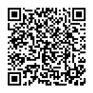 但是脱离危险的本能还在使它坚持不懈的以自己的方式抵御着外界的入侵二维码生成