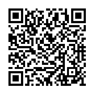 但是范筱梵的实力远超过任何一个修神期的修士二维码生成